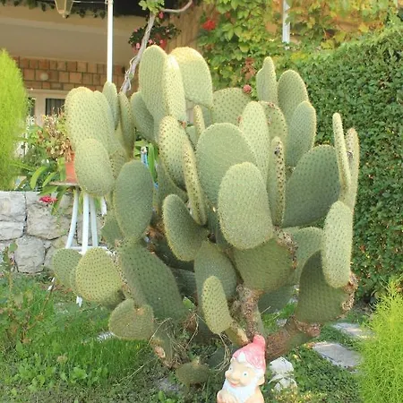 With A Parking Space Mlini, Dubrovnik - 4774 *